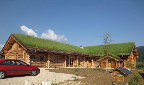 Isolation de son toit : la toiture végétalisée
